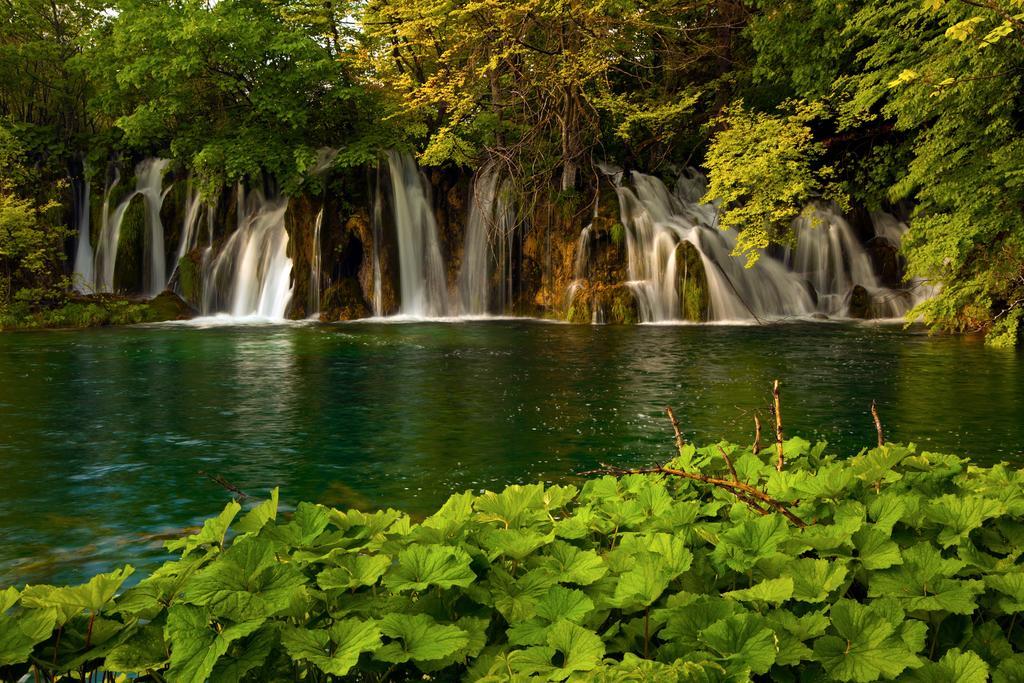 Guesthouse Villa Plitvicka Plitvička Jezera Δωμάτιο φωτογραφία